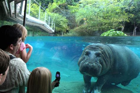 海口動物園哪個最好，觀點交鋒